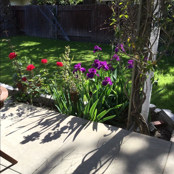 Meet your Posher, G - Picture 1 of 1